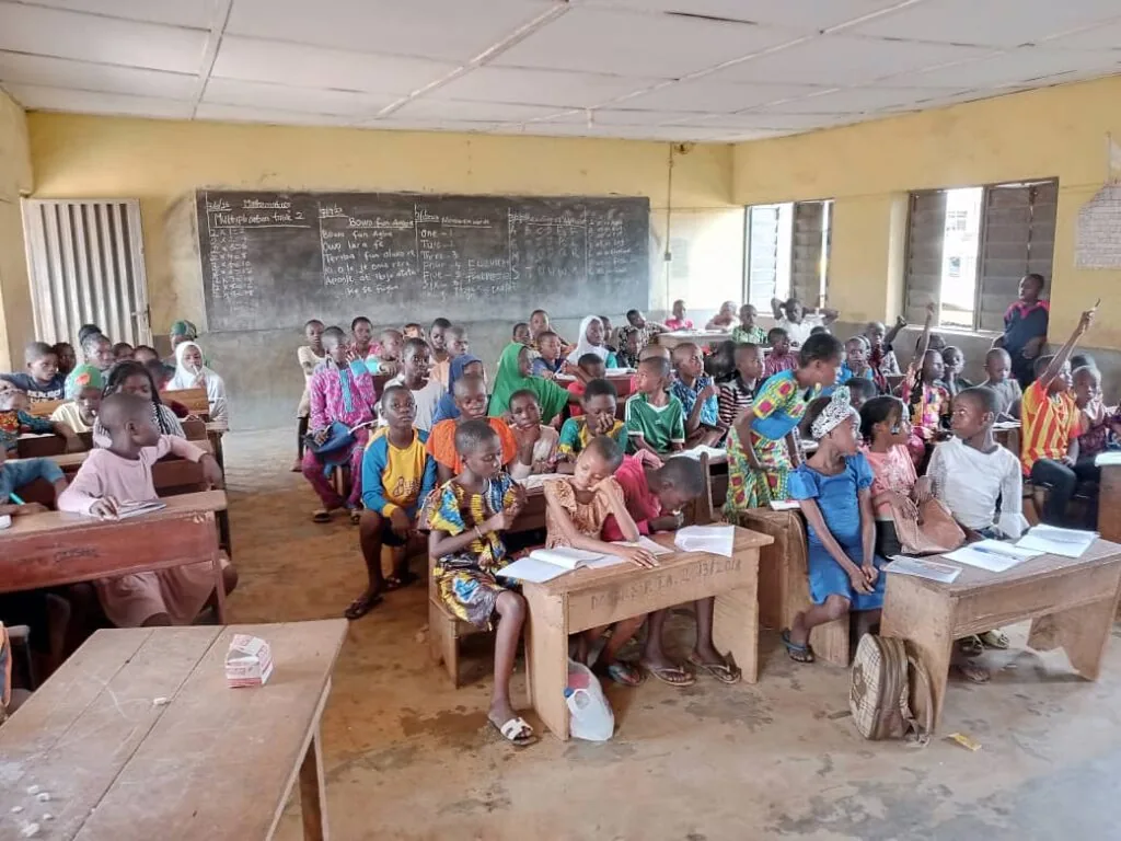 TAF programme activity